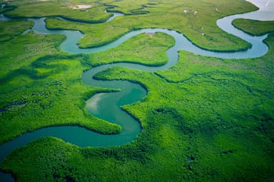 Marshlands