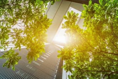 buliding with trees surrounding - Climate programme event